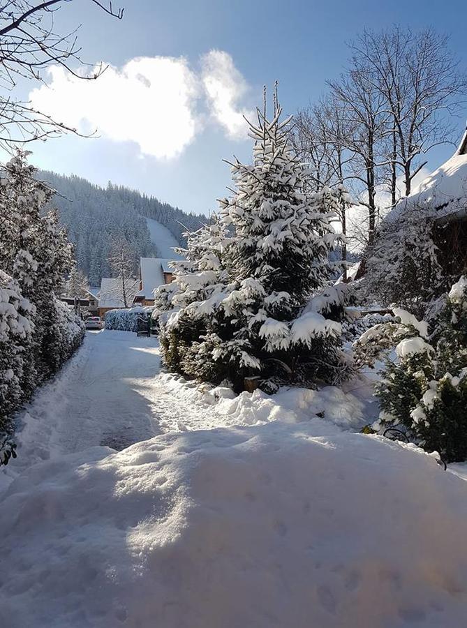 Figusowka Apartment Zakopane Bagian luar foto